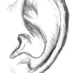 The History and Innovation of the Ear Cleaner