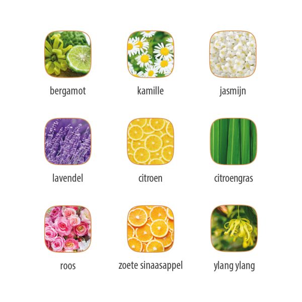 OilScent oli aromatici 9 fragranze - Immagine 2