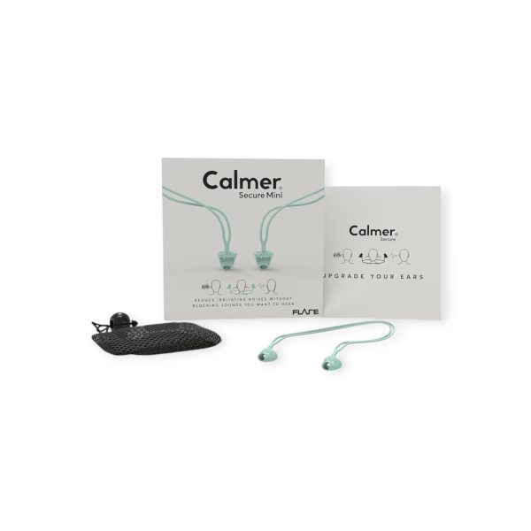 flare audio calmer secure mini mint