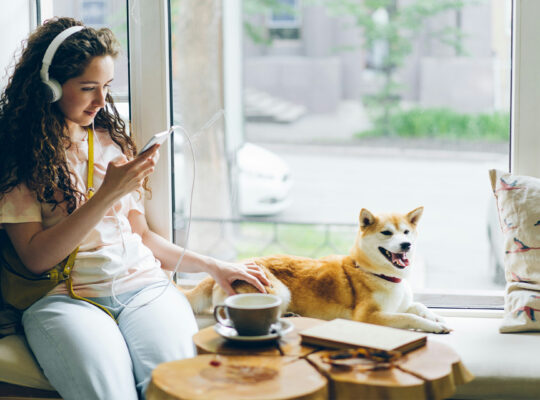 Nauszniki dla psów przeciw stresowi i niepokojowi podczas burzy, podróży i fajerwerków