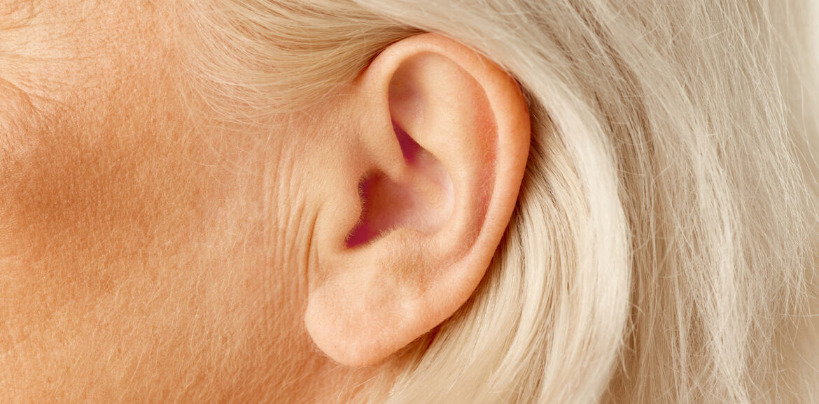 Wat heeft doorbloeding te maken met je gehoor?