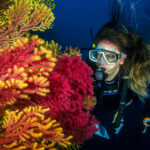 Barotrauma, cos’è?