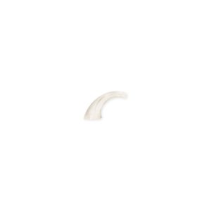 ReSound Toonbochtje Adult / Large met Filter – Voor 67/77 BTE-serie Hoortoestellen – 2 Stuks